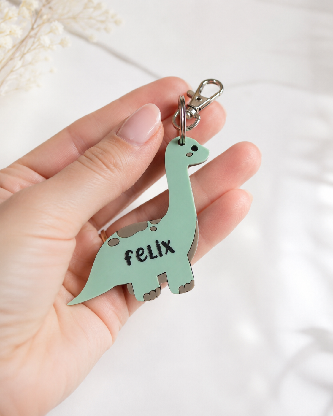 Personalised Dinosaur Bag Tag / Keychain