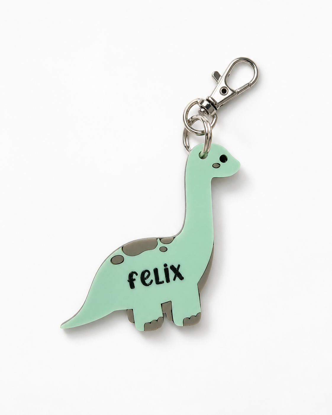 Personalised Dinosaur Bag Tag / Keychain